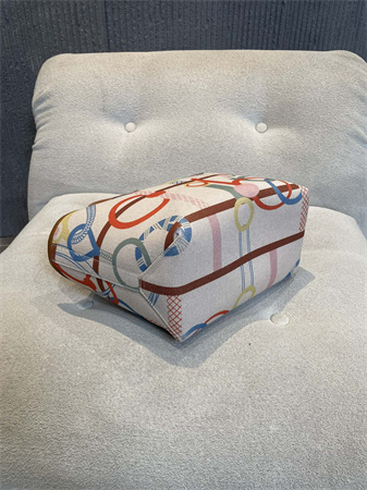 Her.mes Steeple Handbag Hplume Canvas and Swift Calfskin multicolor Printing HS