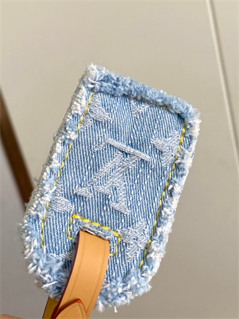 LV CarryAll PM Bag Monogram Denim Sky Blue M11462