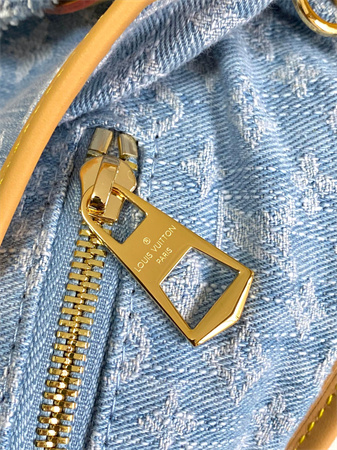 LV CarryAll PM Bag Monogram Denim Sky Blue M11462