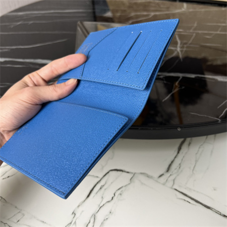 LV Passport Cover Monogram Surfin’ coated canvas Blue M83479