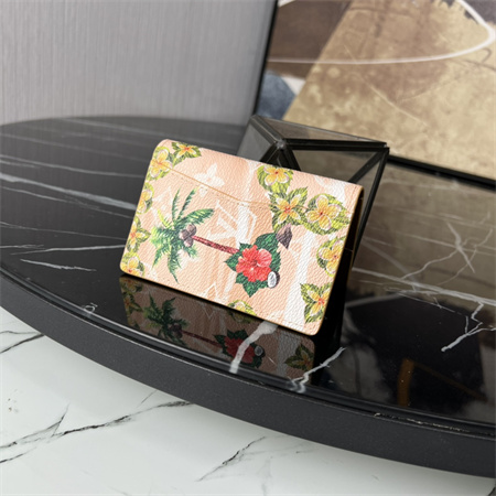 LV Pocket Organizer Monogram Surfin’ coated canvas Beige M83498