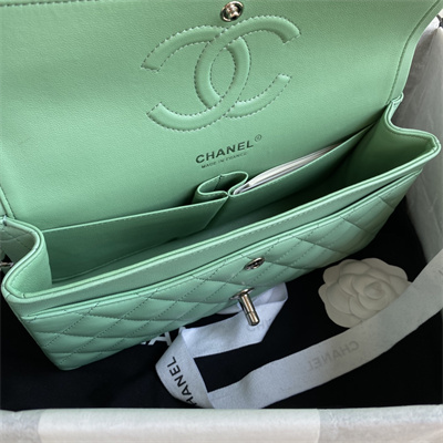 Ch*el medium classic flap bag lambskin silver tone metal lt green 01112