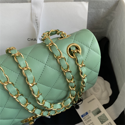 Ch*el medium classic flap bag lambskin gold tone metal lt green 01112