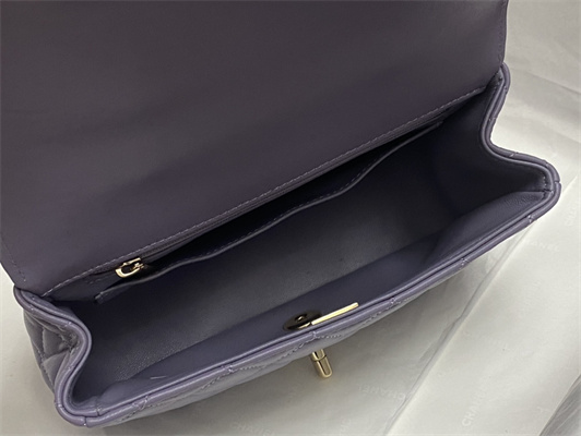 Ch*el mini flap bag with top handle shinny lambskin gold tone metal lt purple as4924