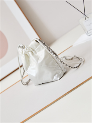 Ch*el 22 mini handbag shiny calfskin silver tone metal white as3980