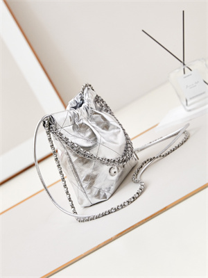 Ch*el 22 mini handbag metallic calfskin silver tone metal silver as3980