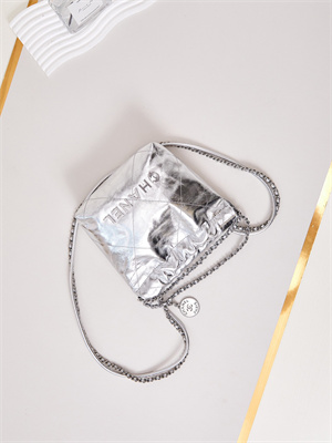 Ch*el 22 mini handbag metallic calfskin silver tone metal silver as3980