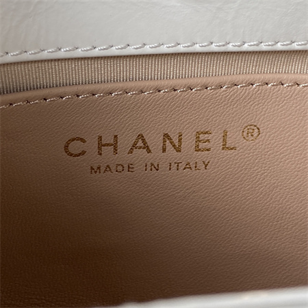 Ch*el small hobo bag shinny calfskin gold tone metal white as3710