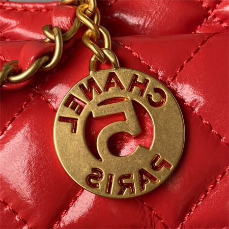 Ch*el small hobo bag shinny calfskin gold tone metal red as3710