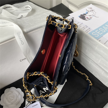 Ch*el small hobo bag shinny calfskin gold tone metal navy as3710