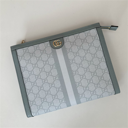 gu.cci ophidia gg pouch S*p*e canvas grey blue 625549