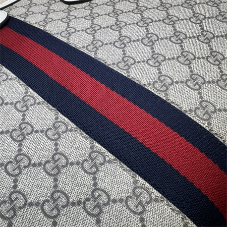 gu.cci ophidia gg medium tote bag S*p*e canvas 631685