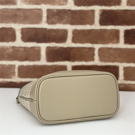 G*u*i ophidia mini tote bag 811716