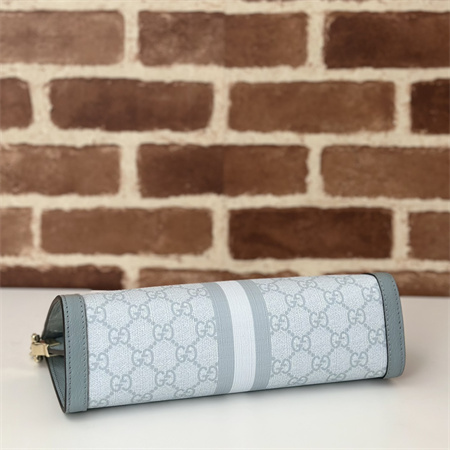 gu.cci ophidia gg small shoulder bag S*p*e canvas dusty blue 503877