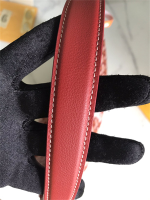 Go*ard bohème hobo bag Go*ardine canvas & chevroches calfskin