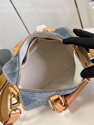 L.V Speedy Bandoulière 25 Damier Denim 3D cotton canvas Blue N40700