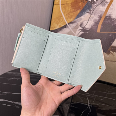 L.V Victorine Wallet Damier coated canvas Pistachio Green N40750