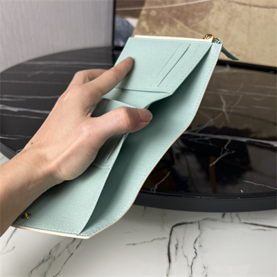 L.V Victorine Wallet Damier coated canvas Pistachio Green N40750