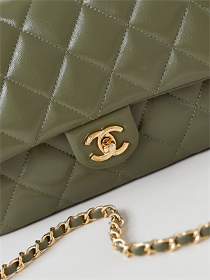 Cha.nel Mini Flap Bag with Top Handle Shiny Lambskin & Gold-Tone Metal Green AS5043
