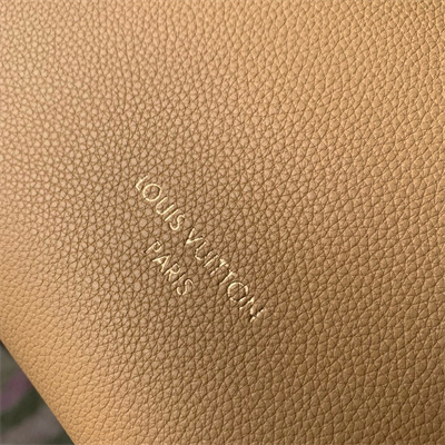 L.V Low Key Hobo PM Bag Smooth Calfskin M25353