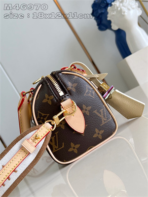 L.V SPEEDY BANDOULIÈRE 18 Monogram Canvas M46970