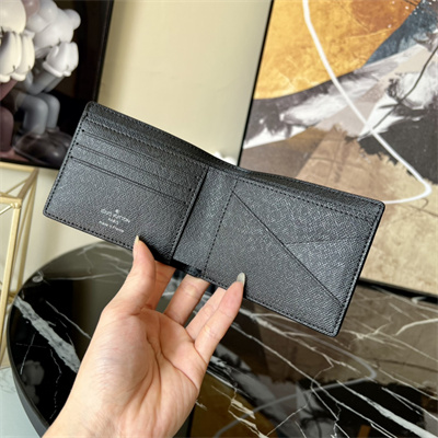 L.V Multiple Wallet Taiga cowhide leather Black M30295