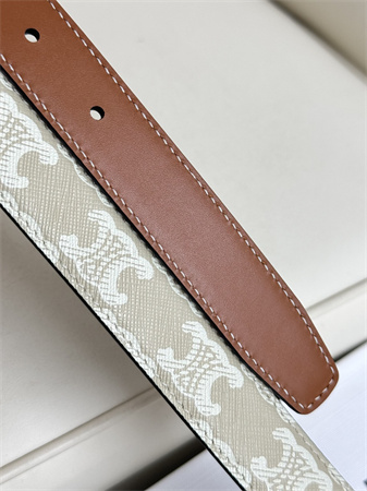 Ce**e triomphe belt 25mm in white triomphe canvas silver tone buckle