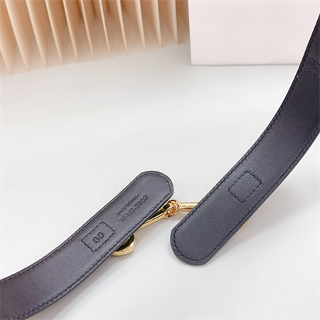Ce**e belt 30mm in calfskin gold tone buckle black