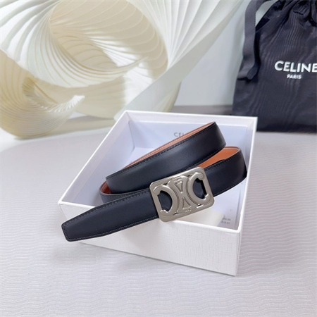 Ce**e medium reversible framed triomphe belt 25mm calfskin silver tone buckle black/brown