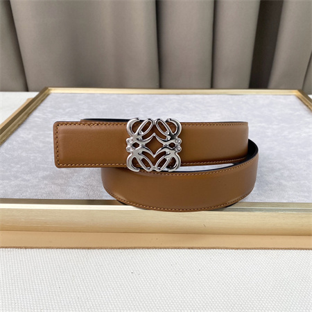 L0ew* belt in calfskin 30mm silver hardware brown/black
