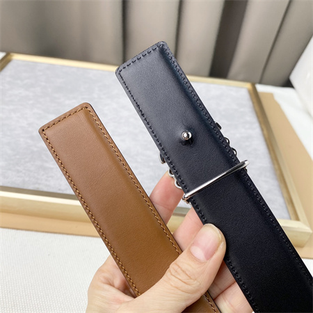 L0ew* belt in calfskin 30mm silver hardware brown/black