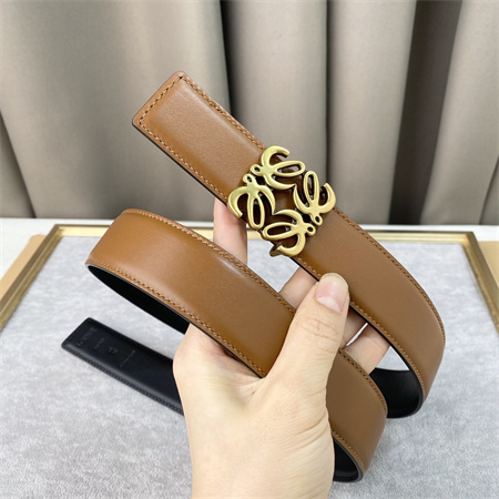 L0ew* belt in calfskin 30mm gold hardware brown/black