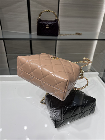 Cha.nel Clutch With Chain Shiny Lambskin & Gold-Tone Metal Nude Pink AP4189