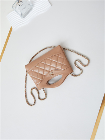 Cha.nel 31 Nano Chain Bag Lambskin Gold Tone Metal Brown AS3656