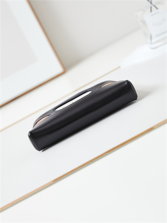 Cha.nel 31 Nano Chain Bag Lambskin Gold Tone Metal Brown/Black AS3656