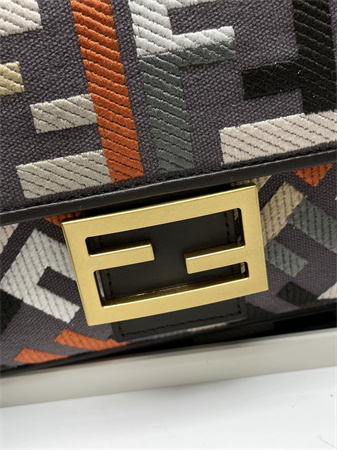 Fen.di Baguette Multicolor FF Canvas Bag