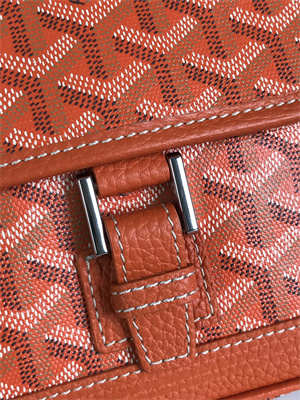 Go*ard grand bleu pm shoulder bag Go*ardine canvas & calfskin