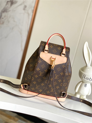 LV Montsouris PM Backpack Monogram Canvas M11198