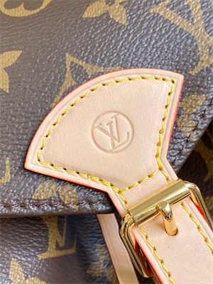 LV Montsouris PM Backpack Monogram Canvas M11198