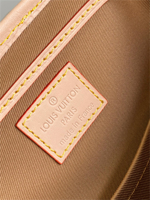 LV Montsouris PM Backpack Monogram Canvas M11198