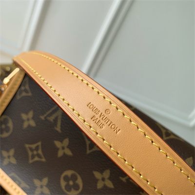 LV Nano Diane Monogram Canvas M83298