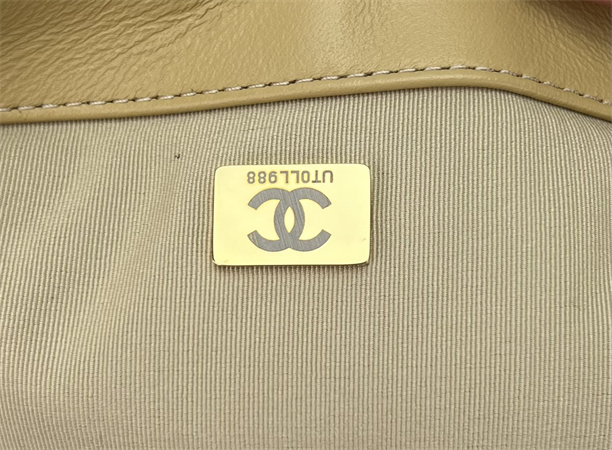 Ch*el 19 bag tweed gold tone beige as1160