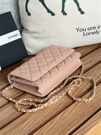 Ch*el wallet on chain lambskin gold tone metal pink ap0250