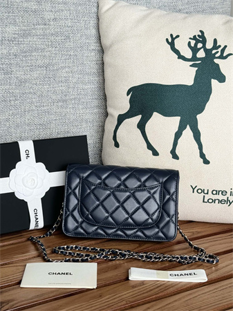 Ch*el wallet on chain lambskin silver tone metal navy ap0250