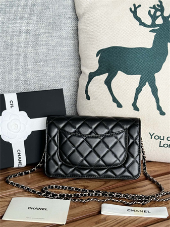 Ch*el wallet on chain lambskin silver tone metal black ap0250