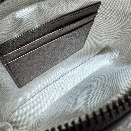 Gu.cci Ophidia GG Mini Bag 746308