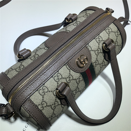 Gu.cci Ophidia small top handle bag 602577