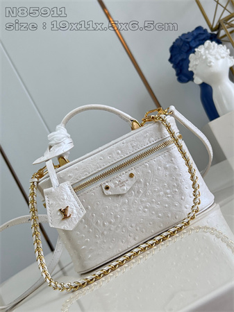 L.V Vanity Chain Pouch Ostrich leather White N85820