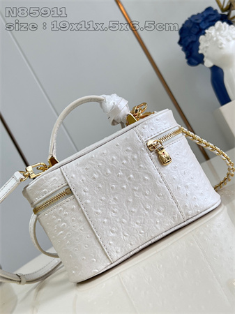 L.V Vanity Chain Pouch Ostrich leather White N85820
