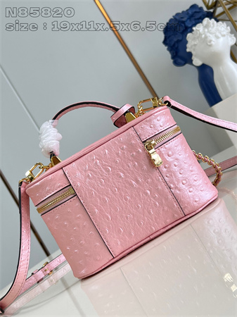 L.V Vanity Chain Pouch Ostrich leather Pink N85820